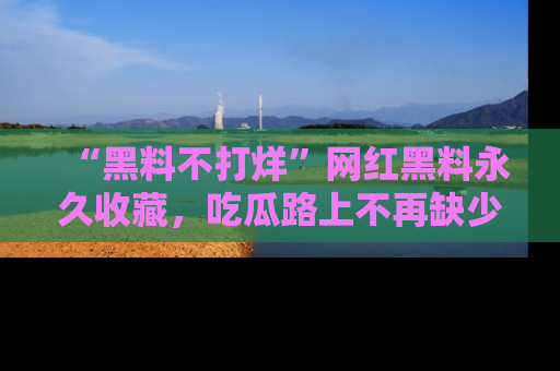 “黑料不打烊”网红黑料永久收藏,吃瓜路上不再缺少惊喜与乐趣