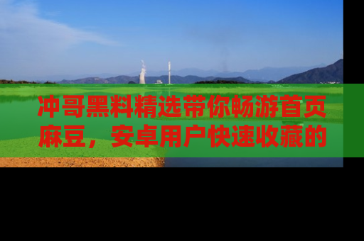 冲哥黑料精选带你畅游首页麻豆，安卓用户快速收藏的秘密武器！