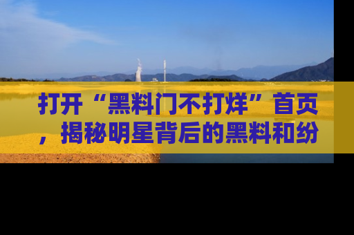 打开“黑料门不打烊”首页，揭秘明星背后的黑料和纷争真相！