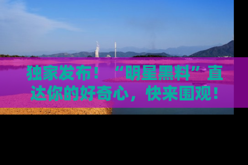 独家发布！“明星黑料”直达你的好奇心，快来围观！