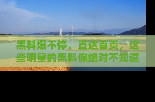 黑料爆不停，直达首页，这些明星的黑料你绝对不知道！