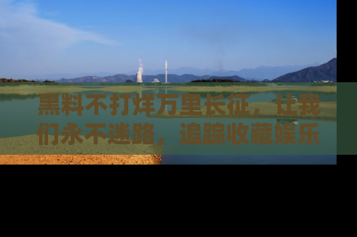 黑料不打烊万里长征，让我们永不迷路，追踪收藏娱乐爆料的乐趣！