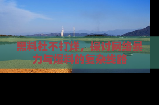 黑料社不打烊，探讨网络暴力与爆料的复杂线路