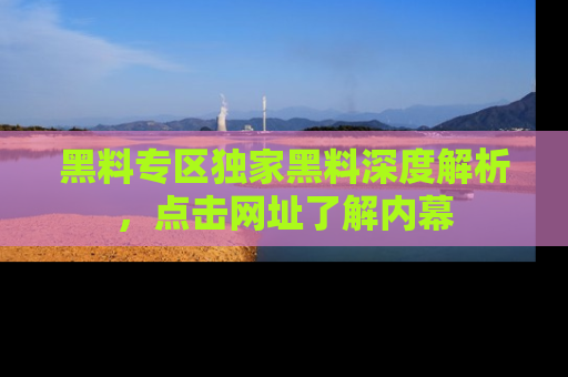 黑料专区独家黑料深度解析，点击网址了解内幕