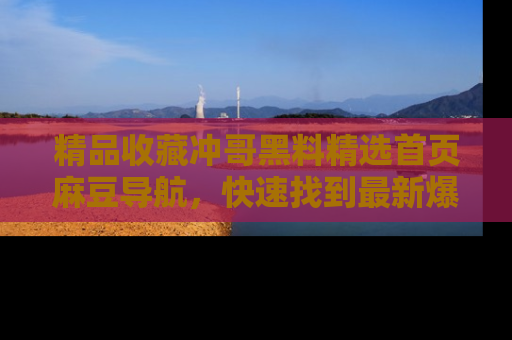 精品收藏冲哥黑料精选首页麻豆导航，快速找到最新爆料