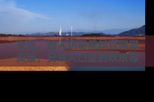 来吧，加入扒哥黑料官网网页版，安卓入口里的欢乐等着你！