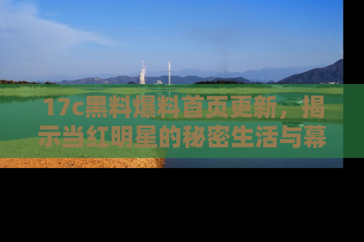 17c黑料爆料首页更新,揭示当红明星的秘密生活与幕后故事