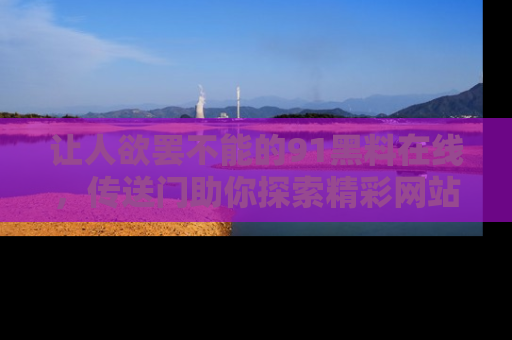 让人欲罢不能的91黑料在线,传送门助你探索精彩网站内幕!