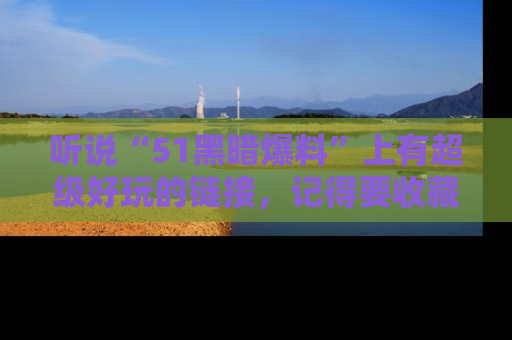 听说“51黑暗爆料”上有超级好玩的链接，记得要收藏哦！