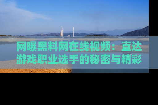 网曝黑料网在线视频：直达游戏职业选手的秘密与精彩动漫片段！