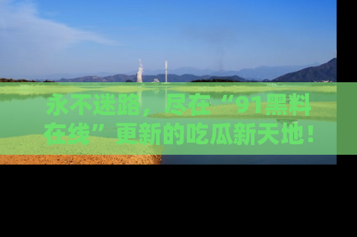 永不迷路，尽在“91黑料在线”更新的吃瓜新天地！