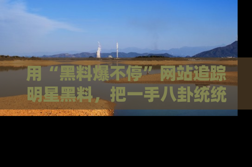 用“黑料爆不停”网站追踪明星黑料，把一手八卦统统收进你的后宫中！