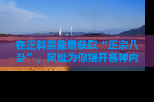 在正料黑能量获取“正宗八卦”,网址为你揭开各种内幕故事!
