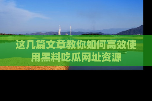 这几篇文章教你如何高效使用黑料吃瓜网址资源