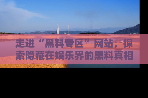 走进“黑料专区”网站,探索隐藏在娱乐界的黑料真相
